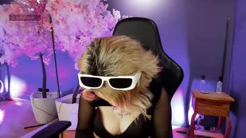 Navier  online show from 4, 11, 2025