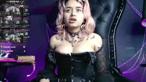 Navier  online show from 14, 7, 2026