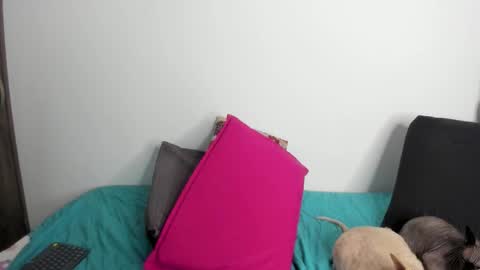 Nei turn green online show from 22, 9, 2025