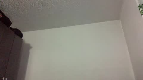 Star  online show from 5, 3, 2026