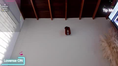 Jordan online show from 6, 11, 2025