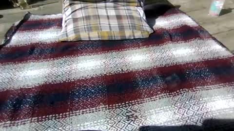 Snapshot of neosohorny chatting on 26, 4, 2026 neosohorny online show from 26, 4, 2026