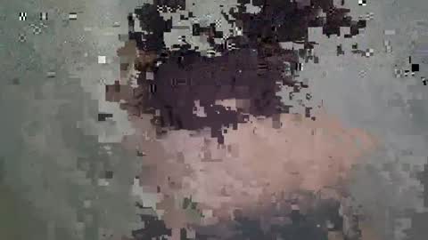 Snapshot of nesty_doll chatting on 18, 3, 2026 Anastasia online show from 18, 3, 2026