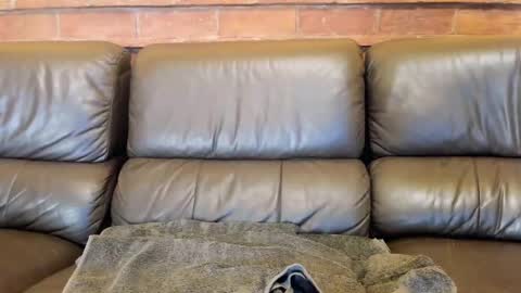 Matilda online show from 4, 12, 2025