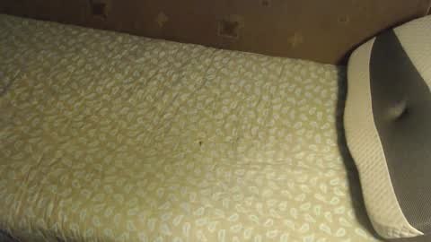 Lilly  online show from 20, 10, 2025