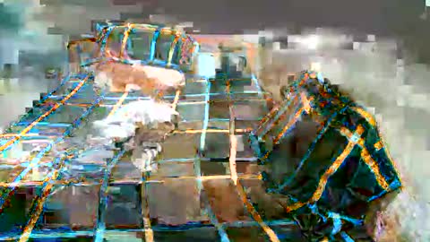 Lucy Pearl online show from 7, 1, 2025