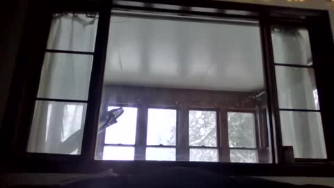 Snapshot of newguy81240 chatting on 23, 1, 2025 Newguy81240 online show from 23, 1, 2025