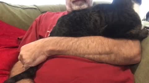 newtman68 online show from 16, 12, 2025