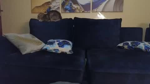 Snapshot of nicckah_ chatting on 22, 2, 2025 Lilly online show from 22, 2, 2025