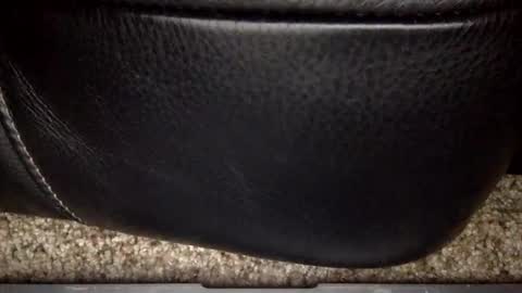 nick12989 online show from 17, 12, 2025