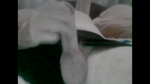 TheCock online show from 31, 10, 2025