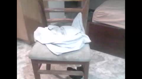 Snapshot of nickthefiddler chatting on 7, 2, 2026 TheCock online show from 7, 2, 2026