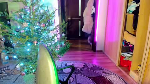 Snapshot of nicky_weekends chatting on 14, 1, 2025 Nicky Weekends online show from 14, 1, 2025