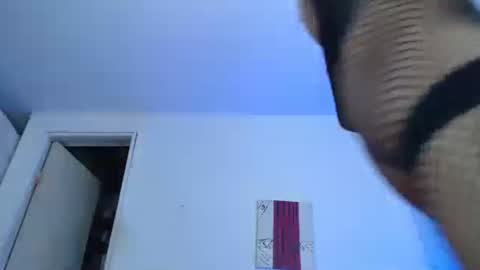 Snapshot of nico_hoot chatting on 29, 12, 2024 sammy hoot online show from 29, 12, 2024