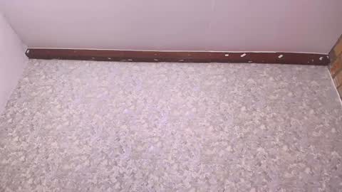 Nicol online show from 27, 12, 2024