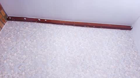 Nicol online show from 21, 11, 2025