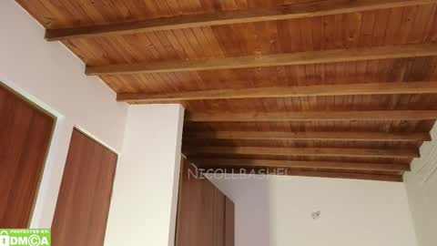 Nicoll  Independent model online show from 26, 10, 2025