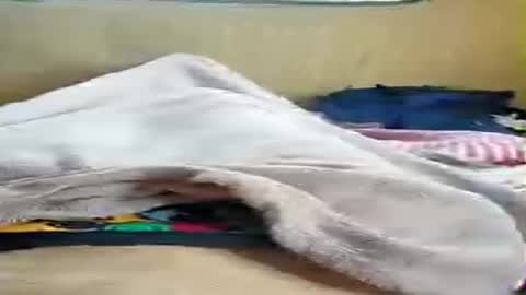 Snapshot of niesmialy89 chatting on 4, 7, 2026 niesmialy89 online show from 4, 7, 2026