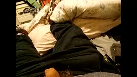 nigel1277 online show from 10, 9, 2025