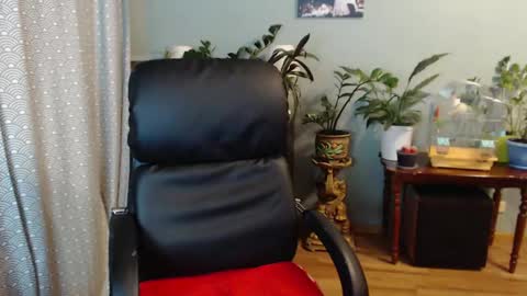 Nika online show from 10, 12, 2024