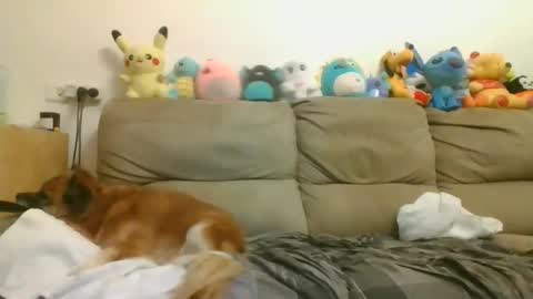 Snapshot of nikeair305 chatting on 17, 4, 2026 Brian and Logan Brogan online show from 17, 4, 2026