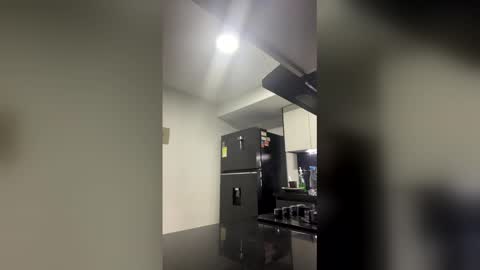 Snapshot of nikolahank1 chatting on 1, 4, 2026 Nikola Hank online show from 1, 4, 2026