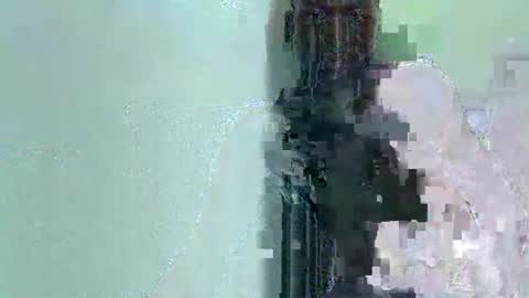 Niles online show from 7, 11, 2025