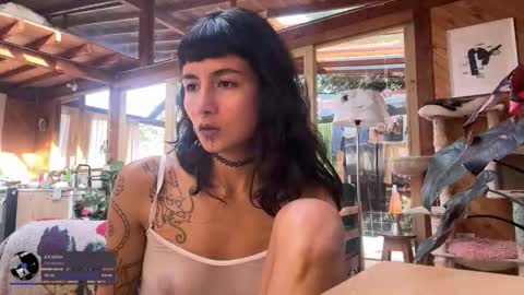 Nina.  online show from 30, 11, 2025