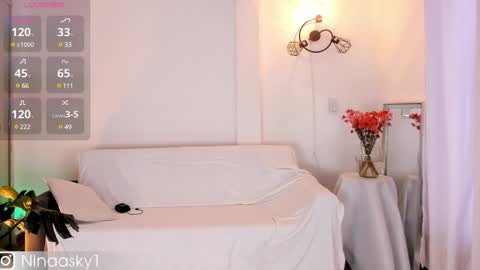 Snapshot of ninaa_sky chatting on 6, 12, 2024    online show from 6, 12, 2024