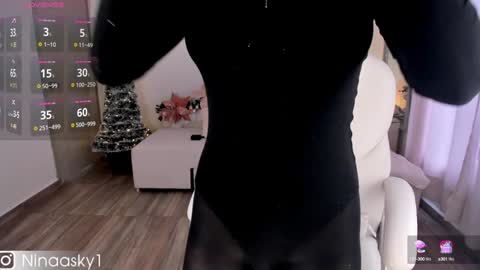 Snapshot of ninaa_sky chatting on 15, 12, 2024    online show from 15, 12, 2024
