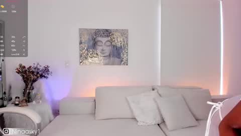 Snapshot of ninaa_sky chatting on 9, 3, 2025    online show from 9, 3, 2025