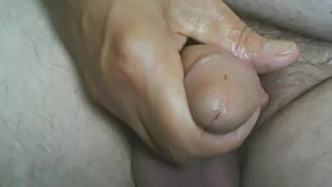 nip804070 online show from 30, 9, 2025