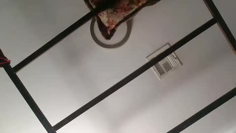 nipplechaser online show from 18, 1, 2025