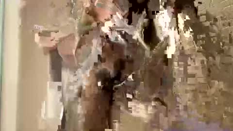 nnm110 online show from 9, 2, 2025