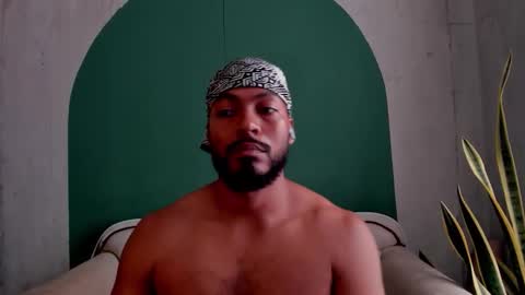 Noah online show from 7, 11, 2025