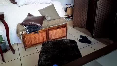 Snapshot of nobudget06 chatting on 25, 2, 2025 nobudget06 online show from 25, 2, 2025