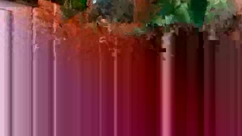 nocturnus1980 online show from 16, 1, 2026