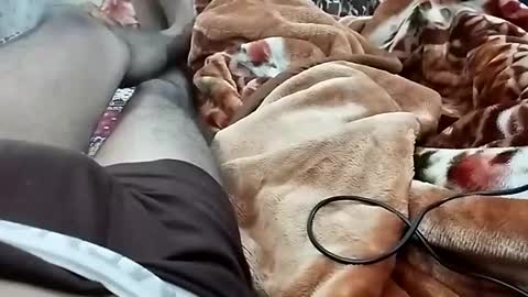 sim  nib online show from 3, 12, 2024