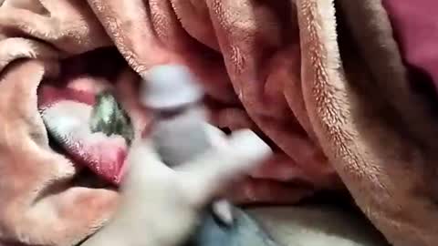 sim  nib online show from 28, 12, 2024