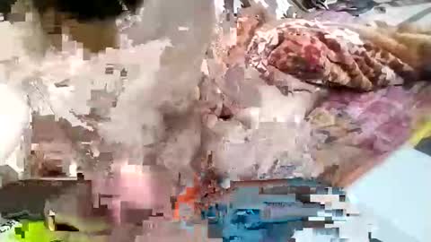 sim  nib online show from 26, 1, 2025