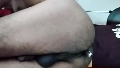 sim  nib online show from 13, 11, 2025