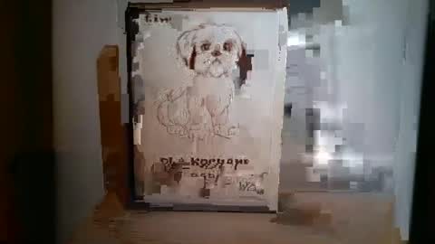 norbertopl87 online show from 18, 1, 2025