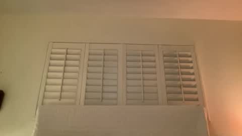 Snapshot of noscandal chatting on 14, 11, 2025 noscandal online show from 14, 11, 2025