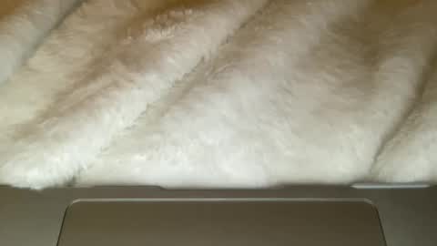 Snapshot of noscandal chatting on 21, 12, 2025 noscandal online show from 21, 12, 2025