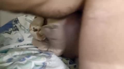 Snapshot of noxx800 chatting on 22, 11, 2025 Lol online show from 22, 11, 2025