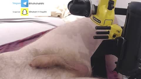 Snapshot of nuche99 chatting on 1, 11, 2025 nuche99 online show from 1, 11, 2025