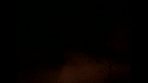 nxleon online show from 9, 12, 2024