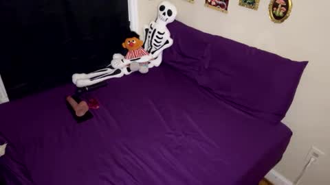 Nymphaea online show from 17, 1, 2026