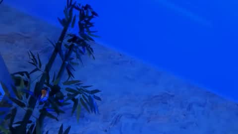 Snapshot of nyssawoodd chatting on 2, 10, 2025 nyssawoodd online show from 2, 10, 2025