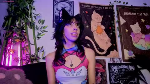   online show from 8, 6, 2026